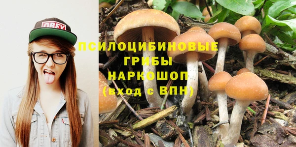 бутират Осинники