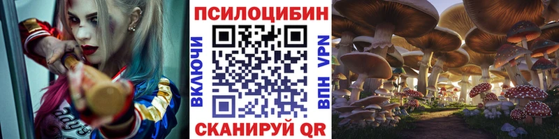 hydra рабочий сайт  Биробиджан  Галлюциногенные грибы Psilocybe 