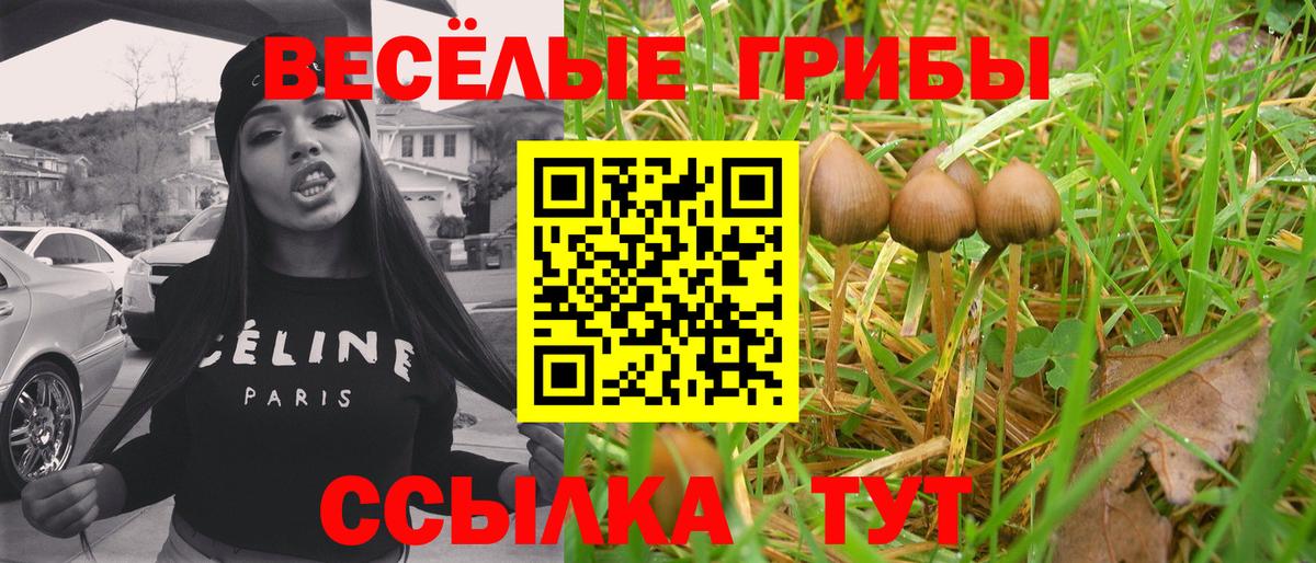 Биробиджан  Галлюциногенные грибы GOLDEN TEACHER  Псилоцибиновые грибы GOLDEN TEACHER  Вход с VPN 