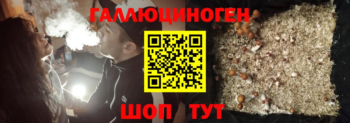 Галлюциногенные грибы GOLDEN TEACHER Биробиджан